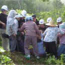 송전1리 이미지