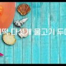 보리떡다섯개물고기두마리