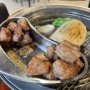 서씨고기