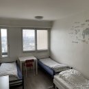 모모네집 이미지