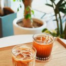 홀톤커피 이미지