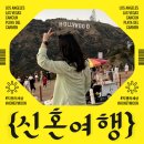 (주)스카이렌트카 | 신혼여행 | LA&amp;라스베가스&amp;칸쿤 신혼여행 준비 (항공권, 숙소, 스칼렛아르떼, 투어, 렌트카 등)