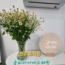 전주 자연초등학교 | 피부과 시술 없이 동안 될 수 있을까? 전주효자동 올리비아에스테틱 탄력관리 리얼 후기
