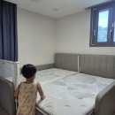 황문석 | 아이 있는 집 필수! 부산매트리스청소 7단계 케어 서비스 솔직 후기