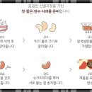 한비즌