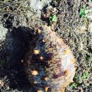 금영수산 이미지