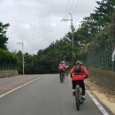 금선농장 이미지