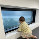 비클래시키즈풀빌라북한강점 이미지