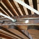 요한어린이집 이미지