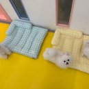 부천애견호텔 멍미텔 이미지