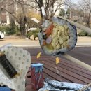 숙대 앞 김밥 맛집 결산_내마음대로 || 용산김밥맛집