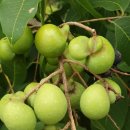 은빛여울 이미지