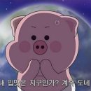 카페에셀 이미지