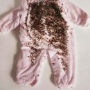 동신대학교문화박물관 이미지