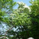 가창초등학교 이미지