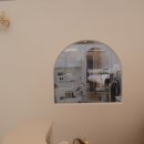 미용하는 강아지 살롱 이미지