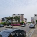 호매실벚꽃음식문화거리 이미지