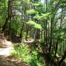 인현왕후길 이미지