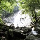 자라섬관광안내소 이미지