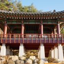 양산신-2026 Daum카페