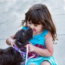 위례S동물의료센터 이미지