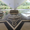 반딧불 프리미엄 이미지