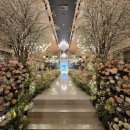 Luce | [안산 웨딩홀] THE LUCE 더 루체 컨벤션 웨딩홀 내돈내산 후기