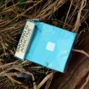 영어회화 초급 이미지