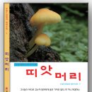 띠앗머리(2009)_형제자매의 우애 이미지