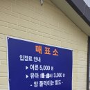 지리산아저씨 | 구례 지리산치즈랜드 나들이 후기 수선화와 양떼 있는 봄 나들이