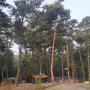 소나무세탁소 이미지