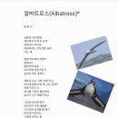 알바트로스 - 고양시 일산서구 | 알바트로스