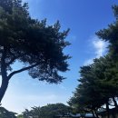 통도 파인이스트 컨트리클럽 | 경남 &#34;통도파인이스트 컨트리클럽&#34; 남코스 란딩