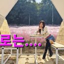 스포츠댄스1 이미지