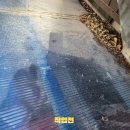 수출대로3길L2-4 | 대구·경북 렉산 철거후 시공 # 구미 아파트 시공사례