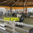 적봉 마을쉼터 CCTV | 안성 팜랜드 봄나들이 동물먹이주기 카트레이싱 사고 후기