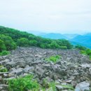 애견동반 밀양테마수영장 이미지