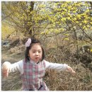 섬진강 망덕포구 이미지