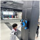 늘푸른태권도 이미지