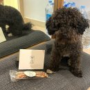 호이해이 이미지