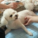 원할머니보쌈족발구파발