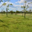 낙동강변 축구장 1 이미지