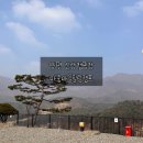 장애인단체사무실 | 서울 근교 캠핑장 양평 마중마을힐링캠프 | 겨울 캠핑, 사이트 추천, 마운틴뷰