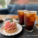 매그네이트 이미지