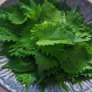 상도연탄갈비 | 배달 돼지갈비 비교 후기: 월화갈비 vs 상도연탄갈비