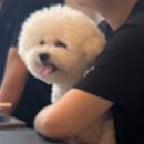 외동팜 | 영종도 불티나조개구이 인천공항 근처 인천 중구 을왕리 조개구이 맛집