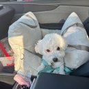 한진 카 서비스 | 아기랑 괌여행(12월괌여행/에어서울/인천공항2터미널마티나골드/한진택배외투보관/괌해피렌트카공항픽업)