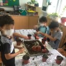 청계초등학교 | 청계초등학교에 다녀오다! (반려 식물, 나무 오르골, 힐링, 수업 진행)