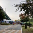 제21회금천구청장배건강달리기대회10키로 이미지