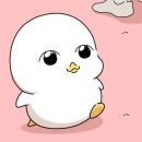 나도 과학실험맨(B) | 어떻게 공부했어? [B형]